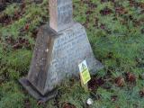 image of grave number 282566